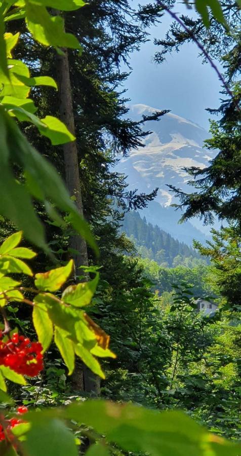 Castel De Roches Leilighet Saint-Gervais-les-Bains Eksteriør bilde